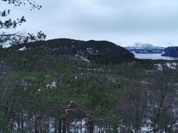 Utsikt til Myrane