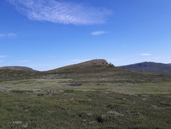 Forundringstjønnkampen