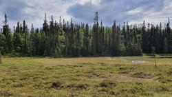 Nord for Dakkesettjønne