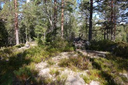 Kaggåsen