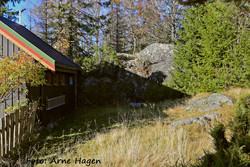 Rundhaugen