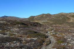 Storkvolvhøgda