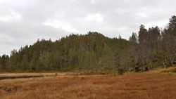 Svarttjønna topp øst