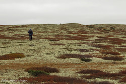 Suleberghøgda sørvest