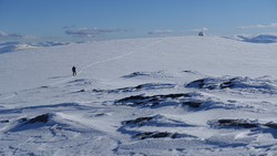 Vest for Sunnfjordbjørnen