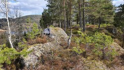 Tangenåsen