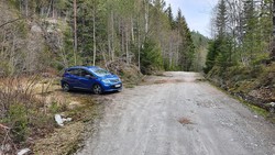 Femmannsdele p-lomme