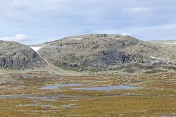 Vest for Storebottjerne