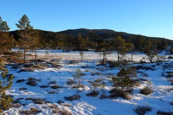 Kvamslifjellet