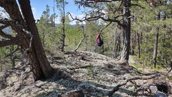 Vest for Svinetjønn