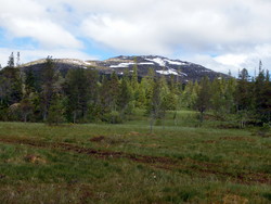 Mannfjellet