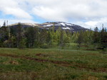Mannfjellet