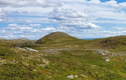 Nordvest for Fallstjønn