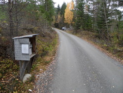 Furehaugen - Kålsmyrane bomveg