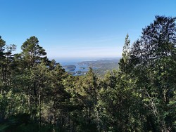 Grønhovda utsiktspunkt