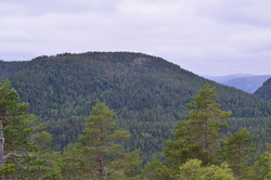 Lyngbergvarden