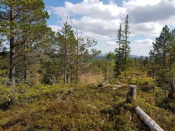 Krokåsen