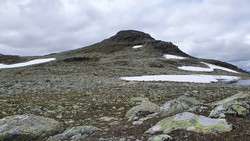 Kljåkinnknippene Sørøst