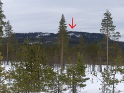 Vesteråsen Sørvest