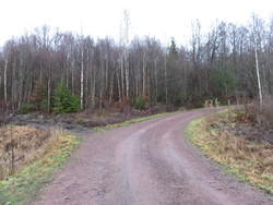 Skatvet parkering Høgståsen