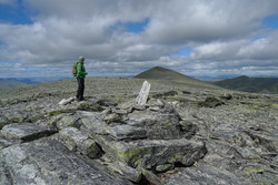 Gravskardhøgda sør