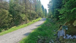 Loddo - sti fra vest