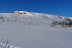 Gråhaugen