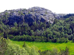 Midtfjellet
