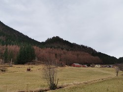 Leitehaugen