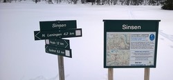 Sinsen skiløypekryss på Synnfjell