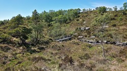 Gangbro ved Klovskardvatnet