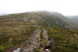 Hovdenakken - Ramnefjellet rundtur