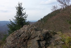 Aussicht Venetianerstein
