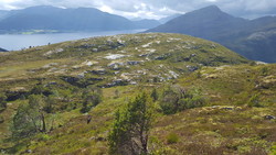 Skiftingsvarden