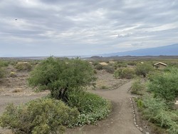 Africa Safari Lake Natron