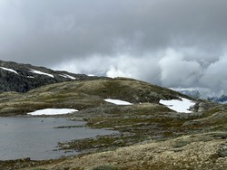 Nordvestraste for Biskopnosi