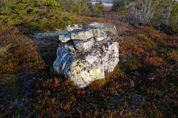 Nordre Munksjøberget