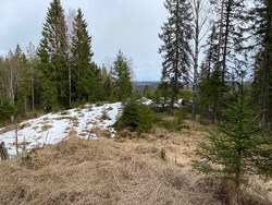 Grasdalshøgda utkikkspunkt