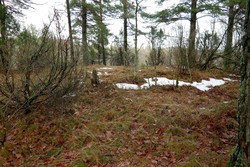 Sør for Bjørnåsen