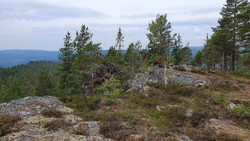 Langåsen