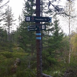 Sti Harestua stasjon