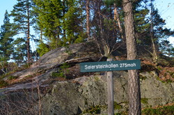 Seiersteinkollen
