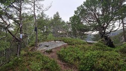 Litlefjellet
