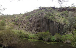 Organ Pipes