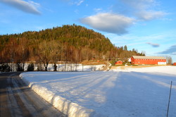 Tanumkollen