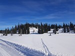 Fjellbekkhaugen Fjellbekkhaugen